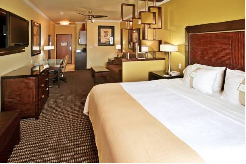 Imagen de la habitación del Hotel Holiday Inn and Suites Mckinney - N Allen, An Ihg. Foto 12