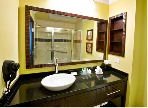 Imagen general del Hotel Holiday Inn and Suites Mckinney - N Allen, An Ihg. Foto 1