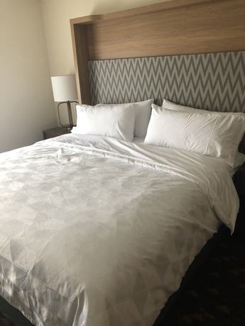 Imagen de la habitación del Hotel Holiday Inn and Suites Mount Pleasant, an IHG. Foto 3