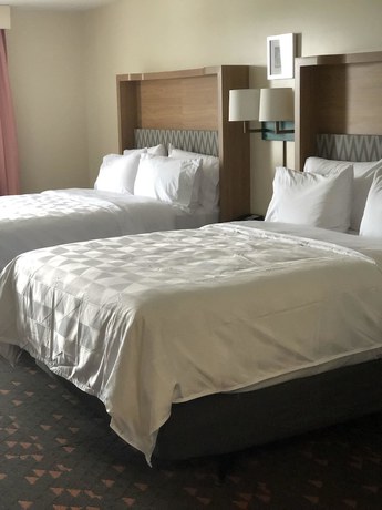 Imagen de la habitación del Hotel Holiday Inn and Suites Mount Pleasant, an IHG. Foto 4