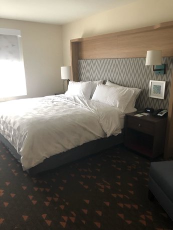 Imagen de la habitación del Hotel Holiday Inn and Suites Mount Pleasant, an IHG. Foto 10