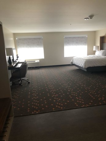 Imagen de la habitación del Hotel Holiday Inn and Suites Mount Pleasant, an IHG. Foto 15
