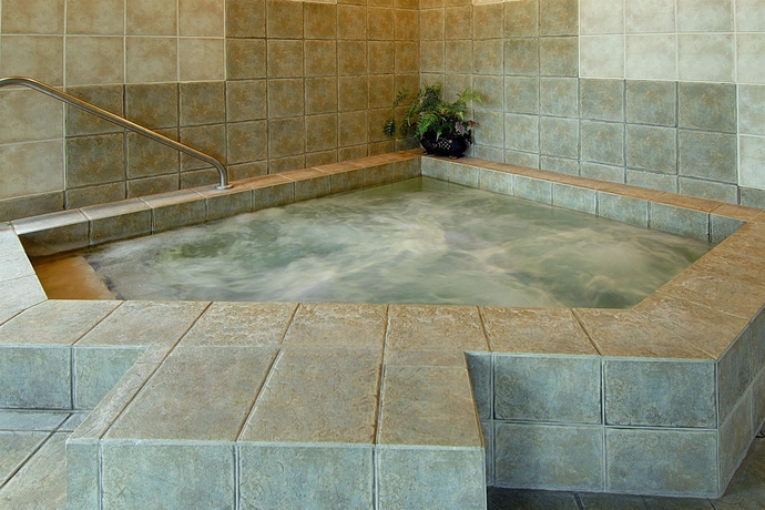 Imagen de la piscina del Hotel Holiday Inn and Suites Oakville @ Bronte, An Ihg. Foto 16