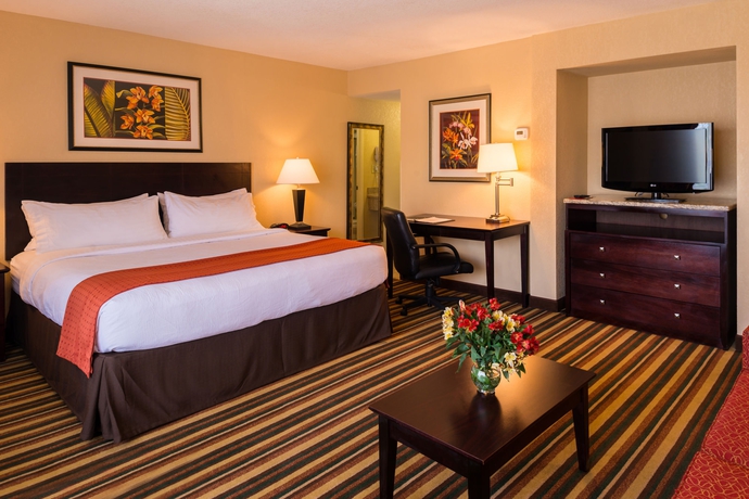 Imagen de la habitación del Hotel Holiday Inn and Suites Orlando Sw - Celebration Area, An Ihg. Foto 9
