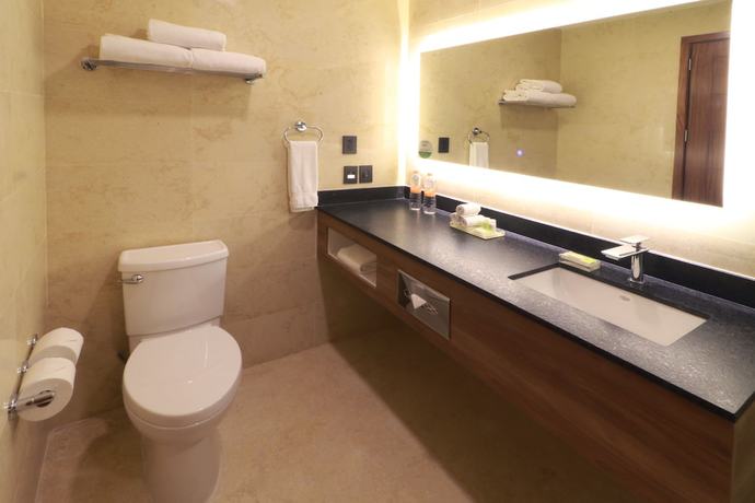 Imagen de la habitación del Hotel Holiday Inn and Suites Puerto Vallarta Marina and Golf, An Ihg. Foto 8