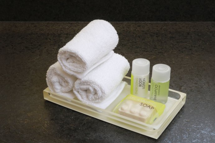 Imagen de la habitación del Hotel Holiday Inn and Suites Puerto Vallarta Marina and Golf, An Ihg. Foto 11