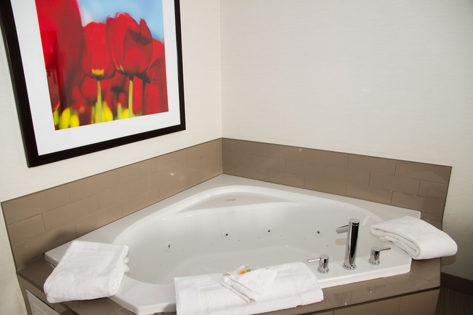 Imagen de la habitación del Hotel Holiday Inn and Suites Red Deer South, An Ihg. Foto 9