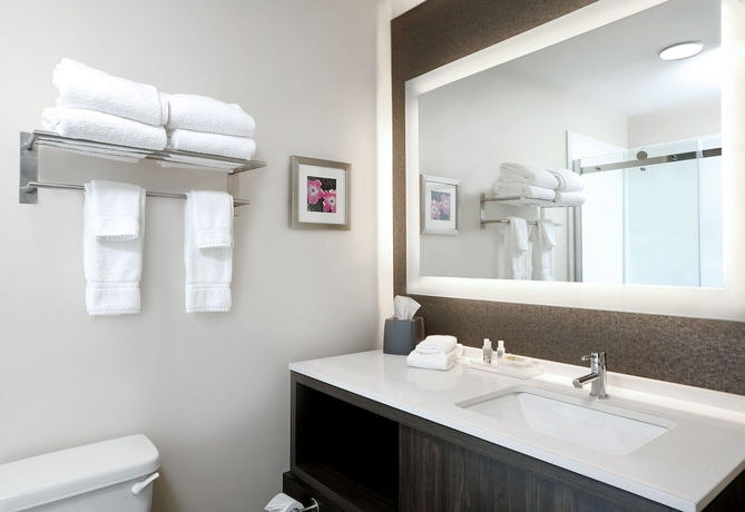 Imagen de la habitación del Hotel Holiday Inn and Suites Sioux Falls - Airport, An Ihg. Foto 7