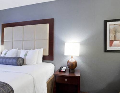 Imagen de la habitación del Hotel Holiday Inn and Suites Stockbridge / Atlanta I-75, An Ihg. Foto 8