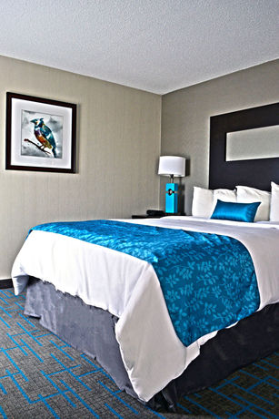 Imagen de los interiores del Hotel Holiday Inn and Suites Syracuse Airport - Liverpool, An Ihg. Foto 15