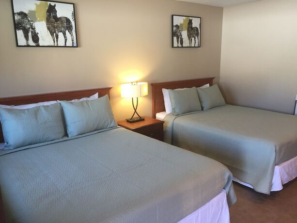 Imagen de la habitación del Hotel Holiday Lodge, Grass Valley. Foto 18