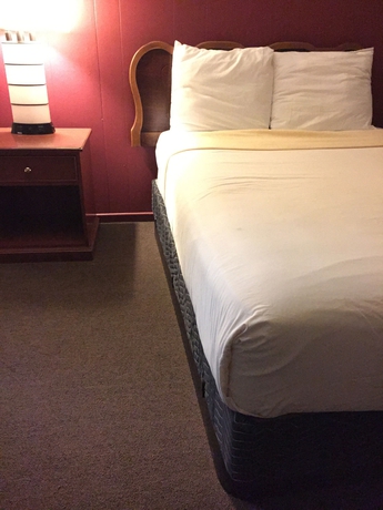 Imagen de la habitación del Hotel Holiday Lodge, Los Ángeles. Foto 7