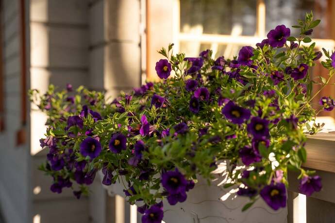 Imagen general del Hotel Holiday Village Kukkapää. Foto 3