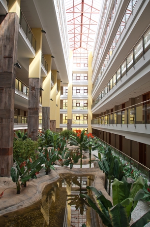 Imagen general del Hotel Holiday World Polynesia. Foto 2