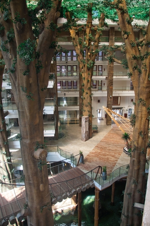 Imagen de los interiores del Hotel Holiday World Polynesia. Foto 14