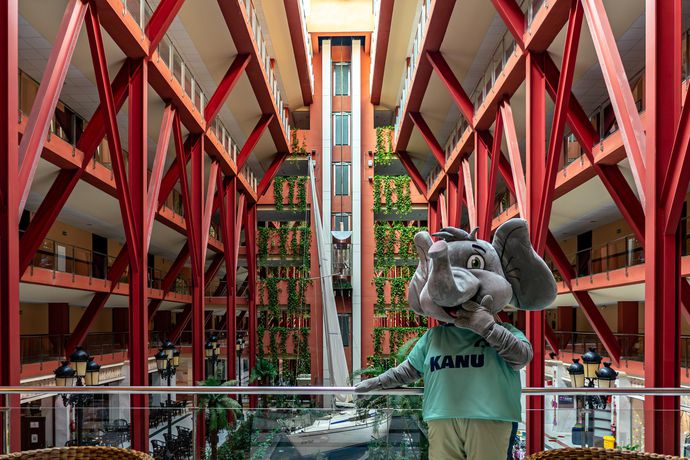 Imagen de los interiores del Hotel Holiday World Village Affiliated by Meli&aacute;. Foto 14