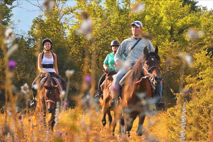 Imagen general del Hotel Holidays, Barrea. Foto 2