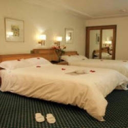 Imagen general del Hotel Hol.inn Crown Plaza. Foto 3