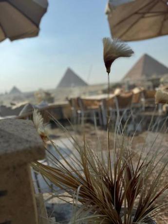 Imagen general del Hotel Holla Pyramids. Foto 11