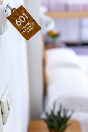 Imagen de la habitación del Hotel Holland. Foto 15