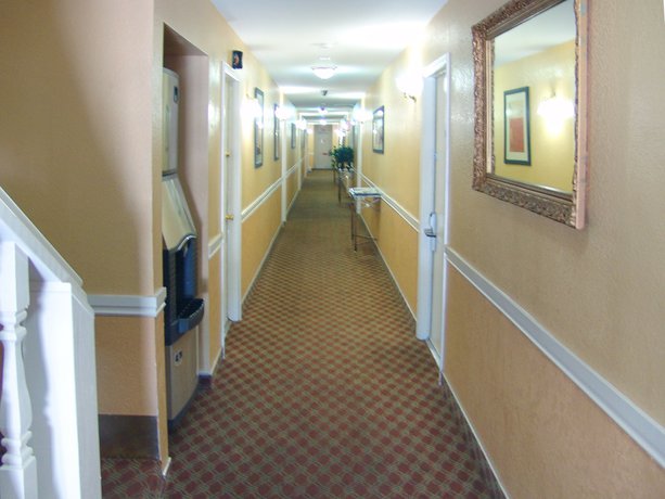 Imagen de los interiores del Hotel Holland Inn and Suites. Foto 18