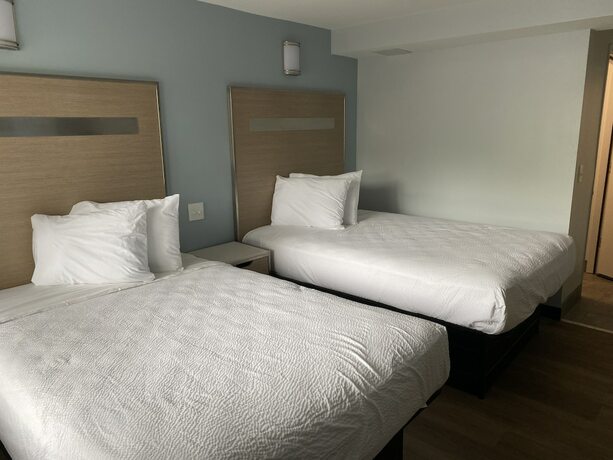 Imagen de la habitación del Hotel Holly Hill Motel. Foto 8