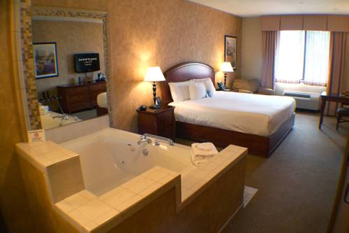 Imagen de la habitación del Hotel Hollywood Casino Joliet. Foto 3