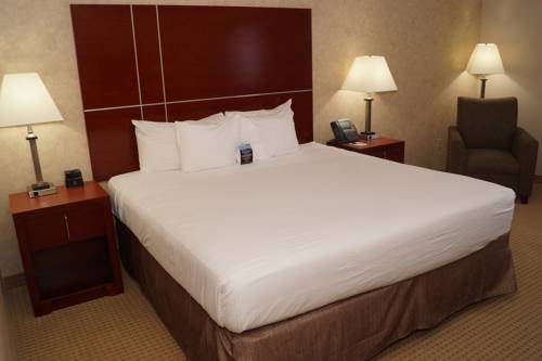 Imagen de la habitación del Hotel Hollywood Casino Joliet. Foto 4