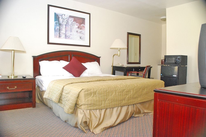 Imagen de la habitación del Hotel Hollywood Downtowner. Foto 7