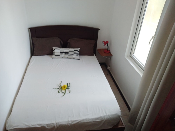 Imagen de la habitación del Hotel Hollywood Holidays. Foto 13