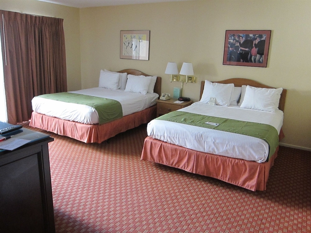 Imagen de la habitación del Hotel Hollywood Orchid Suites. Foto 7