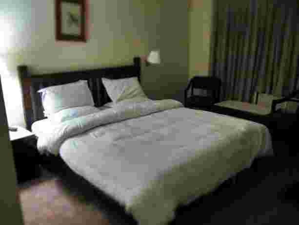 Imagen de la habitación del Hotel Holy Himalaya. Foto 4