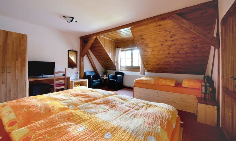 Imagen de la habitación del Hotel Holzberg. Foto 4