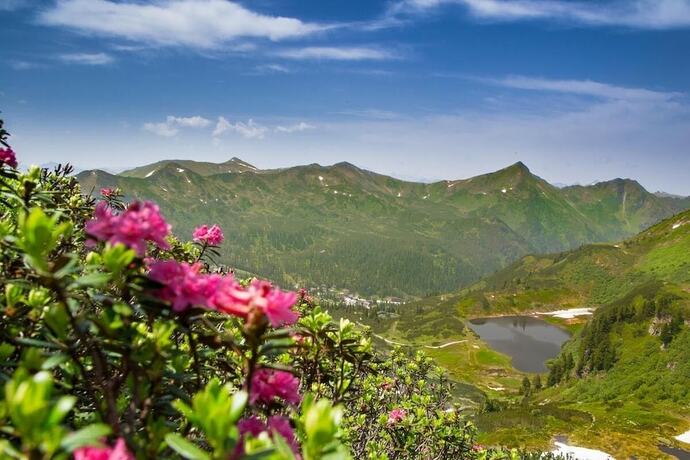 Imagen general del Hotel Holzboxen Planneralm. Foto 3