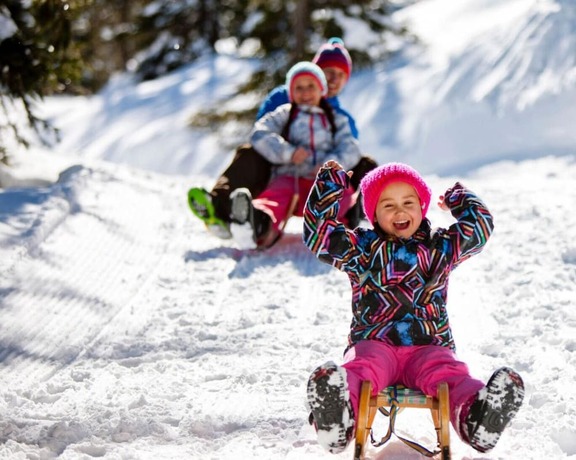 Imagen general del Hotel Holzboxen Planneralm. Foto 6