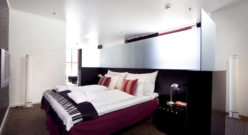 Imagen de la habitación del Hotel Home Hotel Arcticus. Foto 9