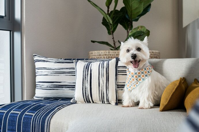 Imagen general del Hotel Home Suites Sea Point. Foto 4