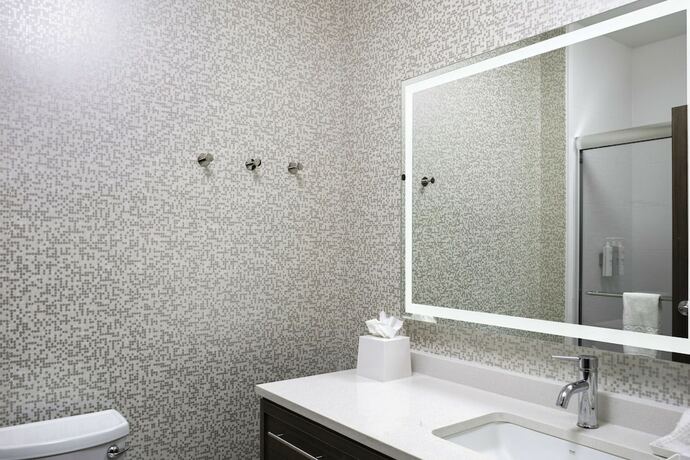 Imagen general del Hotel Home2 Suites By Hilton Baton Rouge Citiplace. Foto 1