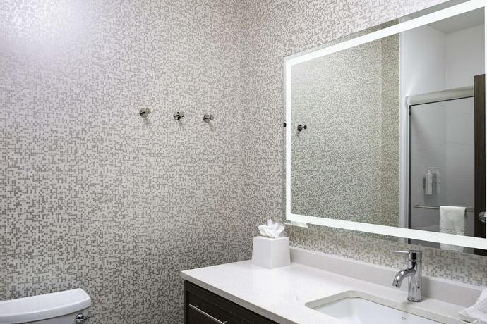 Imagen de la habitación del Hotel Home2 Suites By Hilton Baton Rouge Citiplace. Foto 14