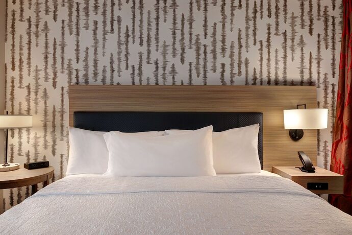 Imagen de la habitación del Hotel Home2 Suites By Hilton Blythewood, Sc. Foto 14