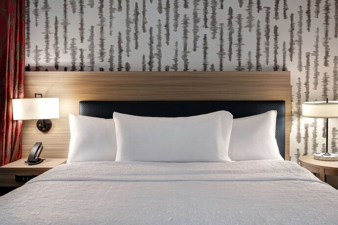 Imagen de la habitación del Hotel Home2 Suites By Hilton Blythewood, Sc. Foto 19