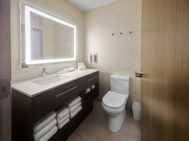 Imagen de la habitación del Hotel Home2 Suites By Hilton Bolingbrook Chicago. Foto 7