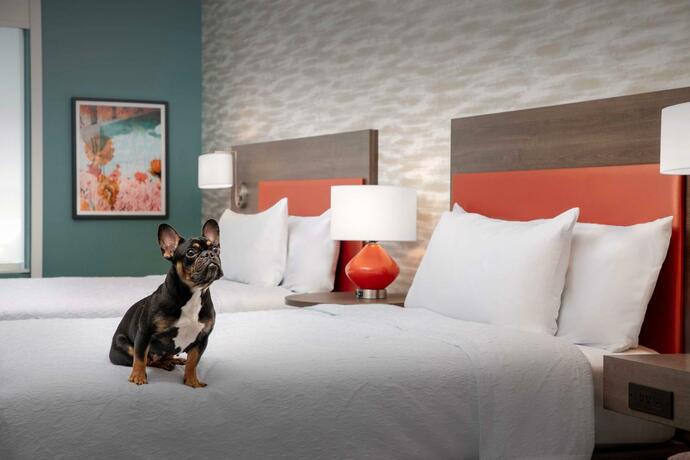 Imagen general del Hotel Home2 Suites By Hilton Georgetown Austin North. Foto 32