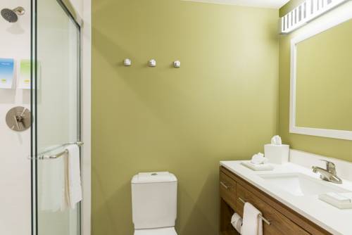 Imagen de la habitación del Hotel Home2 Suites By Hilton Nokomis. Foto 6