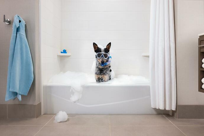 Imagen general del Hotel Home2 Suites By Hilton Winter Garden, Winter Garden . Foto 6