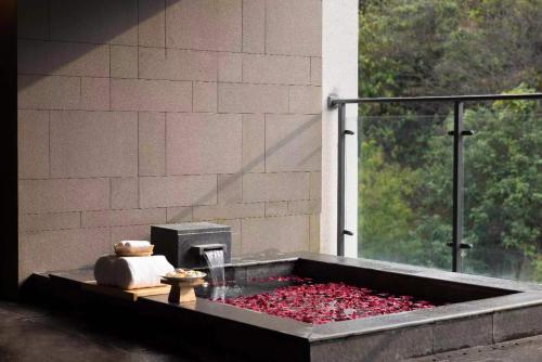 Imagen general del Hotel Home2 Suites by Hilton Chenzhou Nuanshui Hot Spring. Foto 16