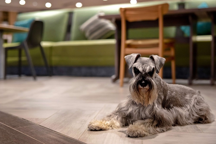 Imagen de los interiores del Hotel Home2 Suites by Hilton Lexington Hamburg. Foto 14