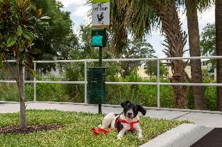 Imagen de los exteriores del Hotel Home2 Suites by Hilton Tampa Westshore Airport, FL. Foto 10