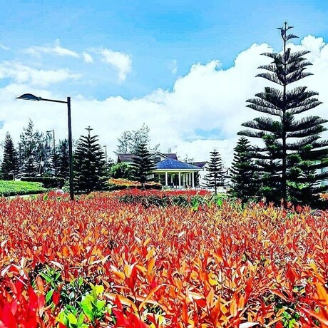 Imagen general del Hotel Homestay At Wind Residences. Foto 1