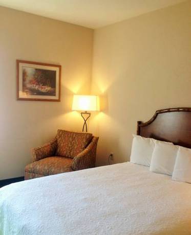 Imagen de la habitación del Hotel Hometown Inn, Indian River. Foto 4